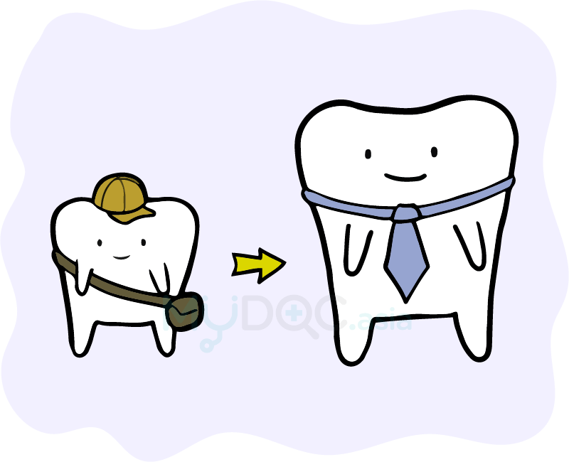 Teeth And Bone Growth - Dental Braces (800x650)