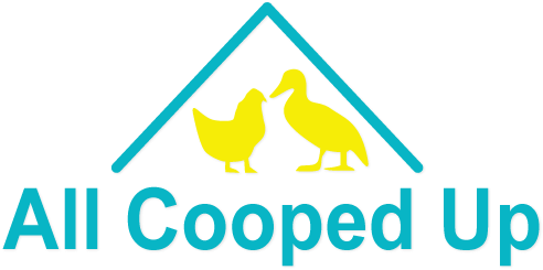 Chicken Houses, Duck Houses, Hen Houses, Goose Houses, - Cooped Up In The House (500x254)