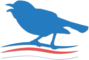 Progressive House Va - Perching Bird (620x370)