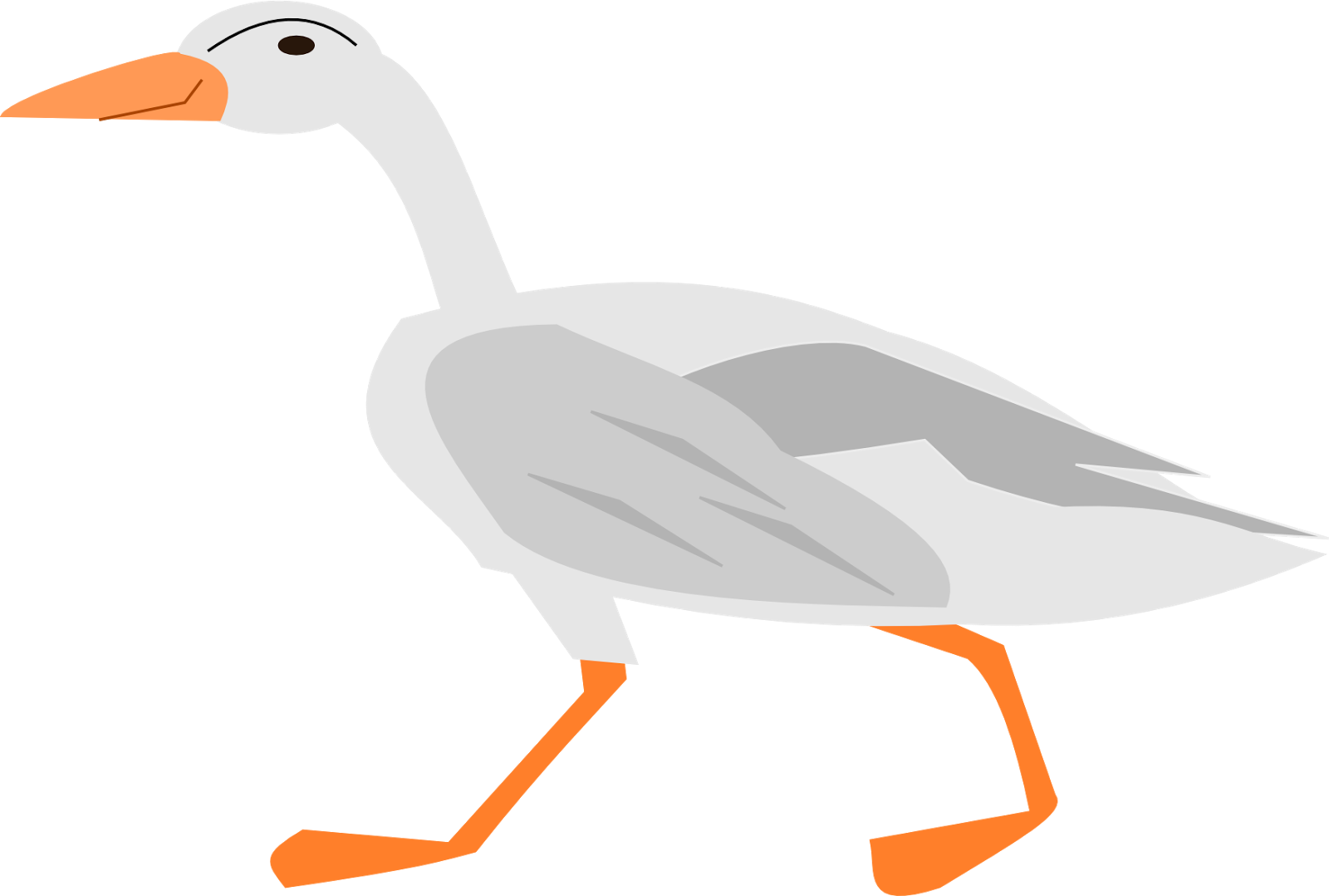 Bird Clipart Goose - Goose Clipart No Background (1600x1078)