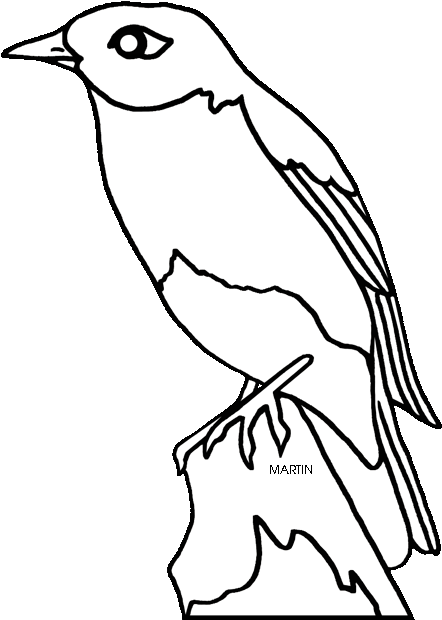 State Bird Of Idaho Mountain Bluebird - New York State Bird (466x648)