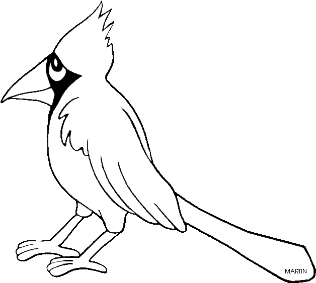 Cardinal Clipart Virginia - Illustration (648x599)