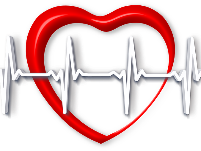 Speed Of Heart Rate Recovery May Help To Predict Mortality - 心拍 数 (676x507)