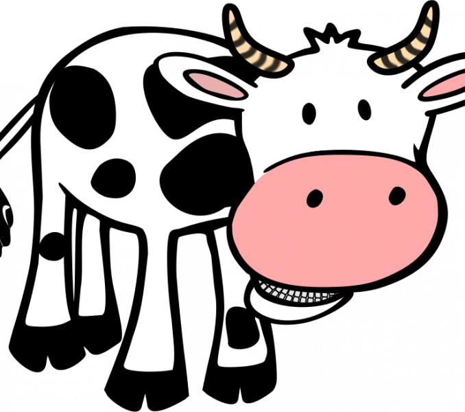 Cow Images Clipart Cow Clipart Clipart Clipart Panda - Clean / Dirty (cow Black & White) 2.25" Magnet (678x600)