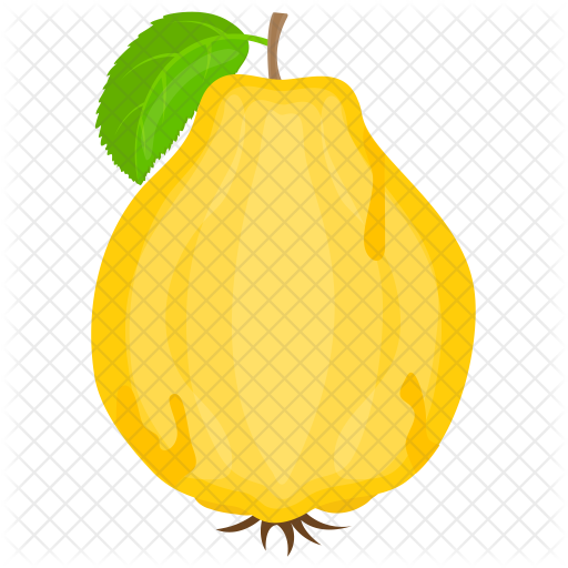 Papaya Icon - Papaya (512x512)