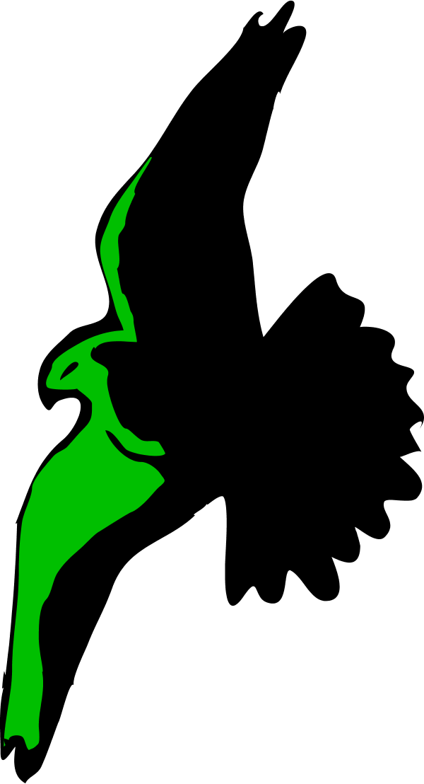 Eagle Image Clip Art - Phoenix Fire By Lawrence Logan 9781452866048 (paperback) (600x1108)