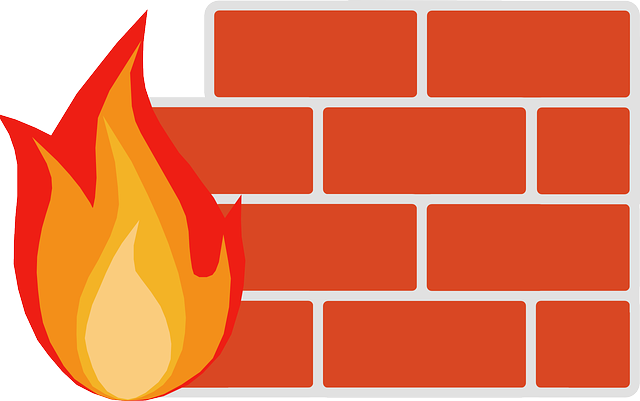 Wall Bricks Red Fire Flame Computer Firewa - Firewall Clipart (800x502)
