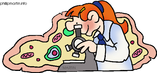 Biology Clipart - Cells Clip Art (549x256)