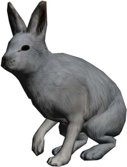 Arctic Hare Clipart Transparent - Burro (1024x768)