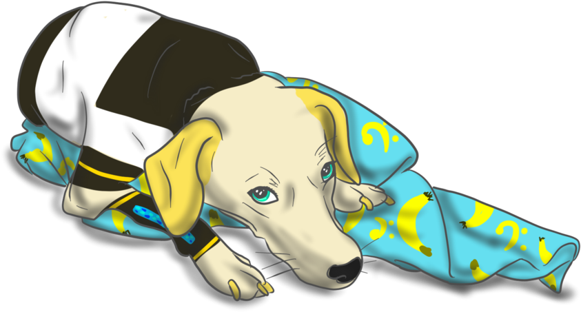 Len, Dog, Blanket, Thing Yeah By Cleverconflict - Longdog (900x560)