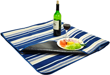 Picnic Blanket Blue Stripe - Picnic Blanket Tote - Blue Stripe (450x450)