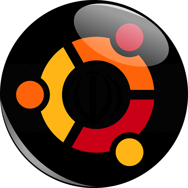 Voditelji Stručnog Usavršavanja Bit Će Boris Počuča - Ubuntu Logo (640x640)