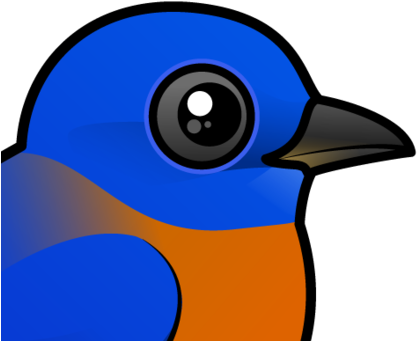 About The Western Bluebird - Western Bluebird (440x440)