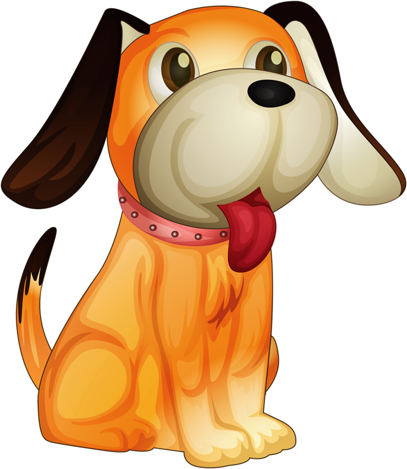 Cães & Gatos - Animales De 4 Patas (907x1024)