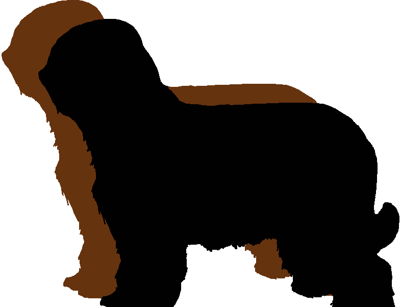 Latest Show Results - Logo Briard (786x601)