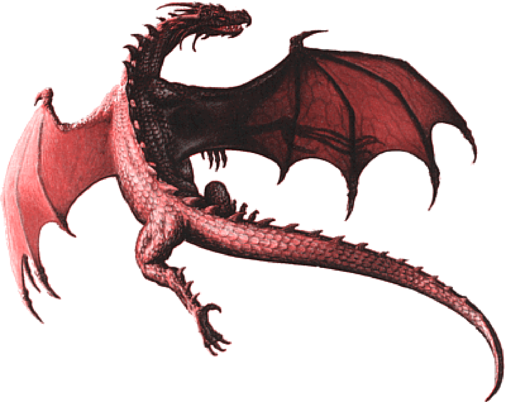 Dragon Clipart Realistic - Victoria Tower (1667x1325)