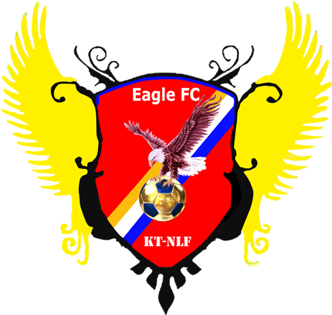 Logo Eagle Fc - Shield With Wings Png (490x490)