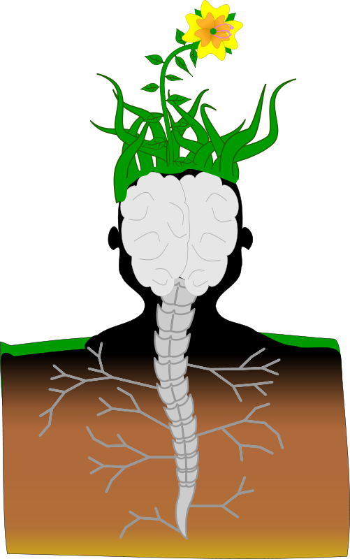 Free Adan - Brain As A Plant (501x800)