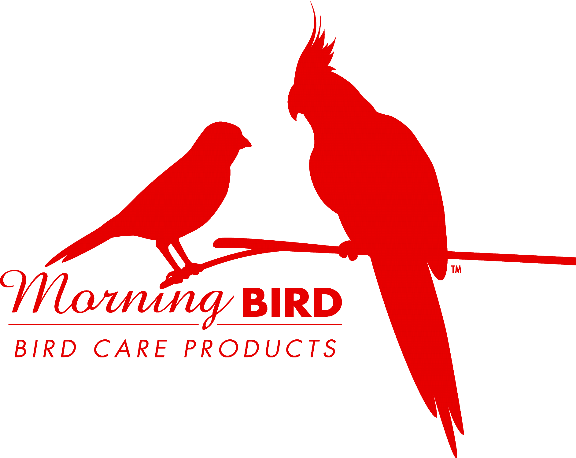 Morning Bird (1884x1498)