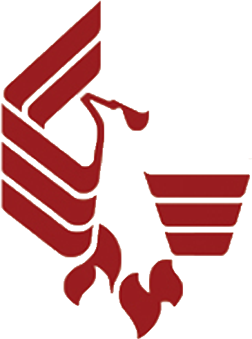 University Of Phoenix Banner (500x500)