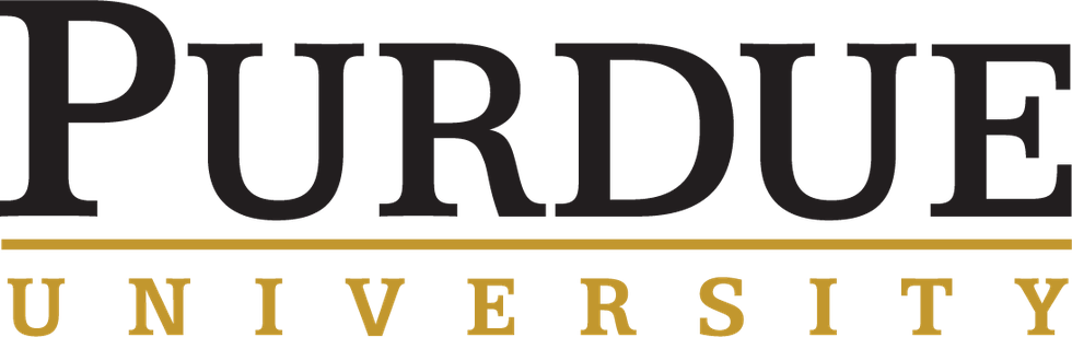 You'll Feel The Second-hand Awkwardness As Soon As - Purdue Polytechnic Institute Logo (980x308)