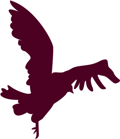 Bird Flying Close To Landing Silhouette Transparent - Secuencia Silueta Png (512x512)