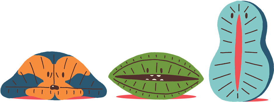 Amy Gallagher Freelance Illustrator - Illustration (960x381)