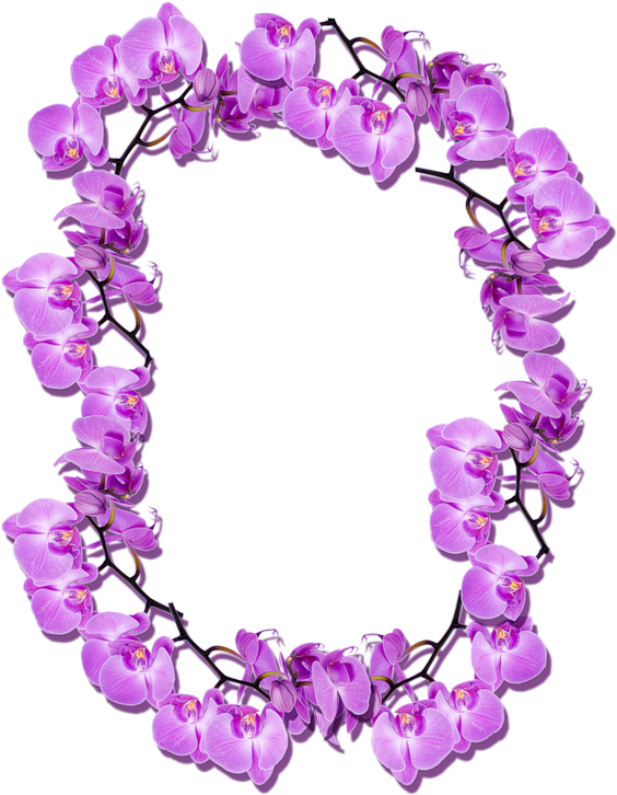 Фото, Автор Shadrinagalin На Яндекс - Photoshop Frame Templates Pink (565x800)