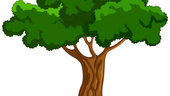 Easily Cartoon Tree Picture Png Clip Art Best Web Clipart - Big Book Of Beginner Reading Stories By Naomi Bradley (585x329)