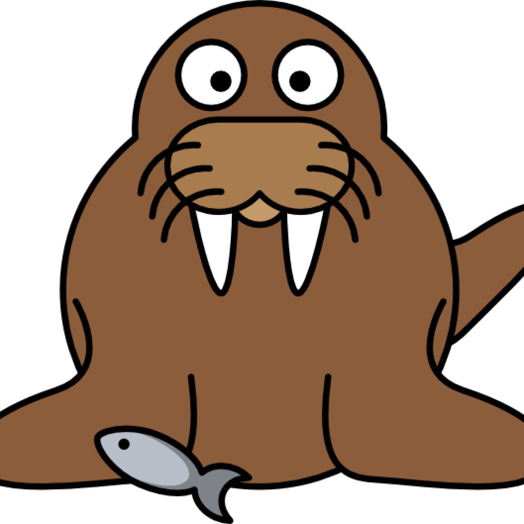 Walrus Clipart With Fish Clip Art At Clker Vector Online - Walrus Cartoon (1024x1024)