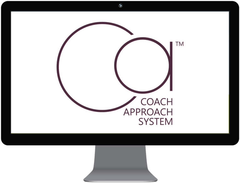 The Coach Approach System™ - Web Design (800x800)
