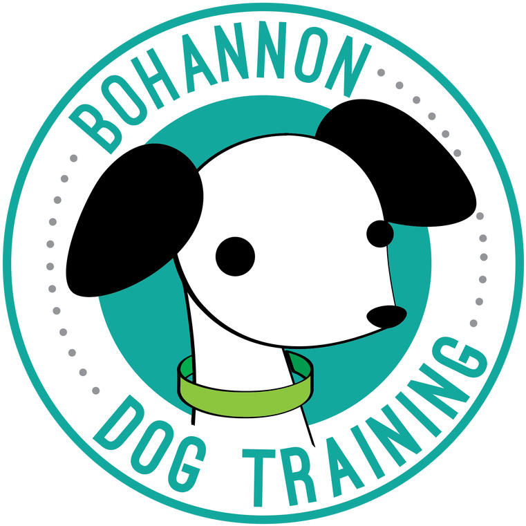 Bohannon Dog Training (800x800)