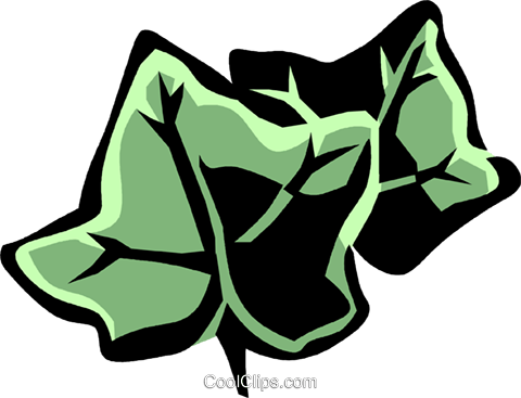 English Ivy Royalty Free Vector Clip Art Illustration - English Ivy Royalty Free Vector Clip Art Illustration (480x367)