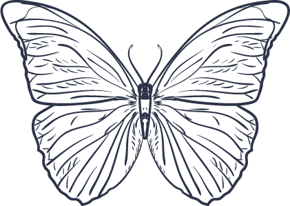 Join The Private Facebook Group Where You Can Communicate - Brush-footed Butterfly (421x299)