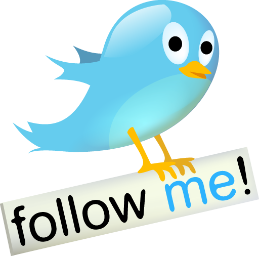 There's - Logo Twitter Follow Me (512x506)
