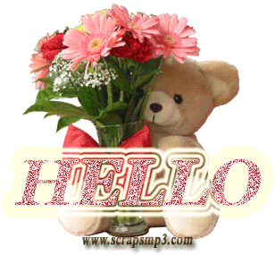 Hello Hi Scraps,hi Scraps,hello Glitter, Graphics,greetings - Birthday Wishes For Sister In Law (544x368)