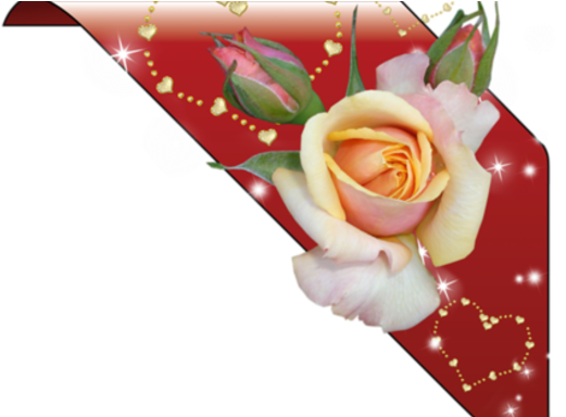 Garden Roses (730x383)
