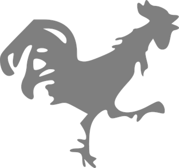 Rooster, Running, Slim, Sick, Shout - Baño De Descarga Gallina Negra (361x340)
