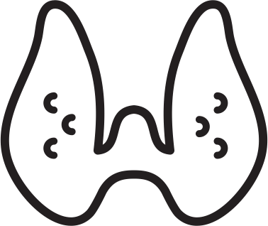 Thyroid By Pj Witt From The Noun Project - Drawing (378x318)