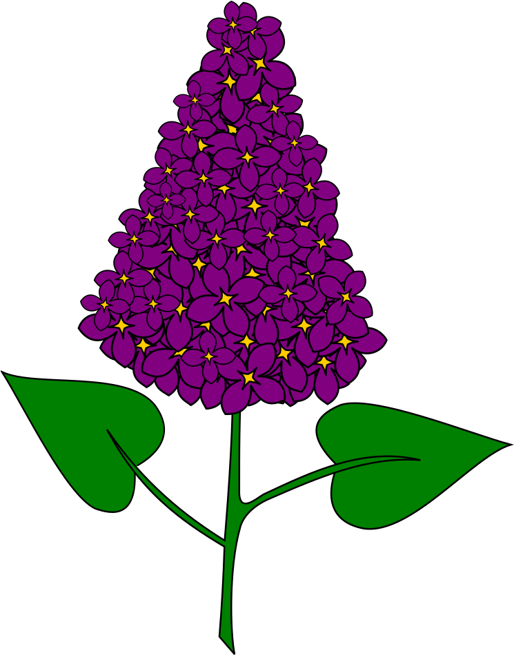 File - Lilas - Svg - Flower (754x1024)