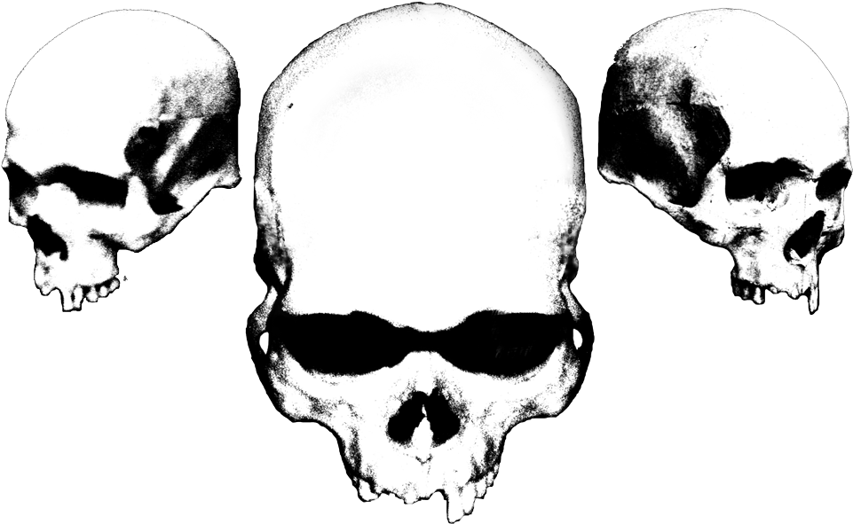 Three Skulls - Black And White Skulls (1000x625)
