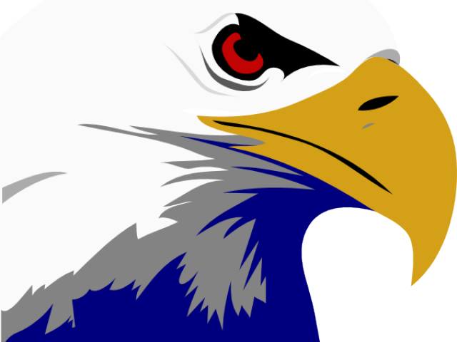 Golden Eagle Clipart Army Eagle - Bald Eagle Clipart (640x480)