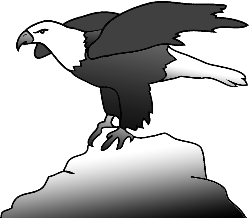 Bald Eagle Clipart - Bald Eagle (800x696)