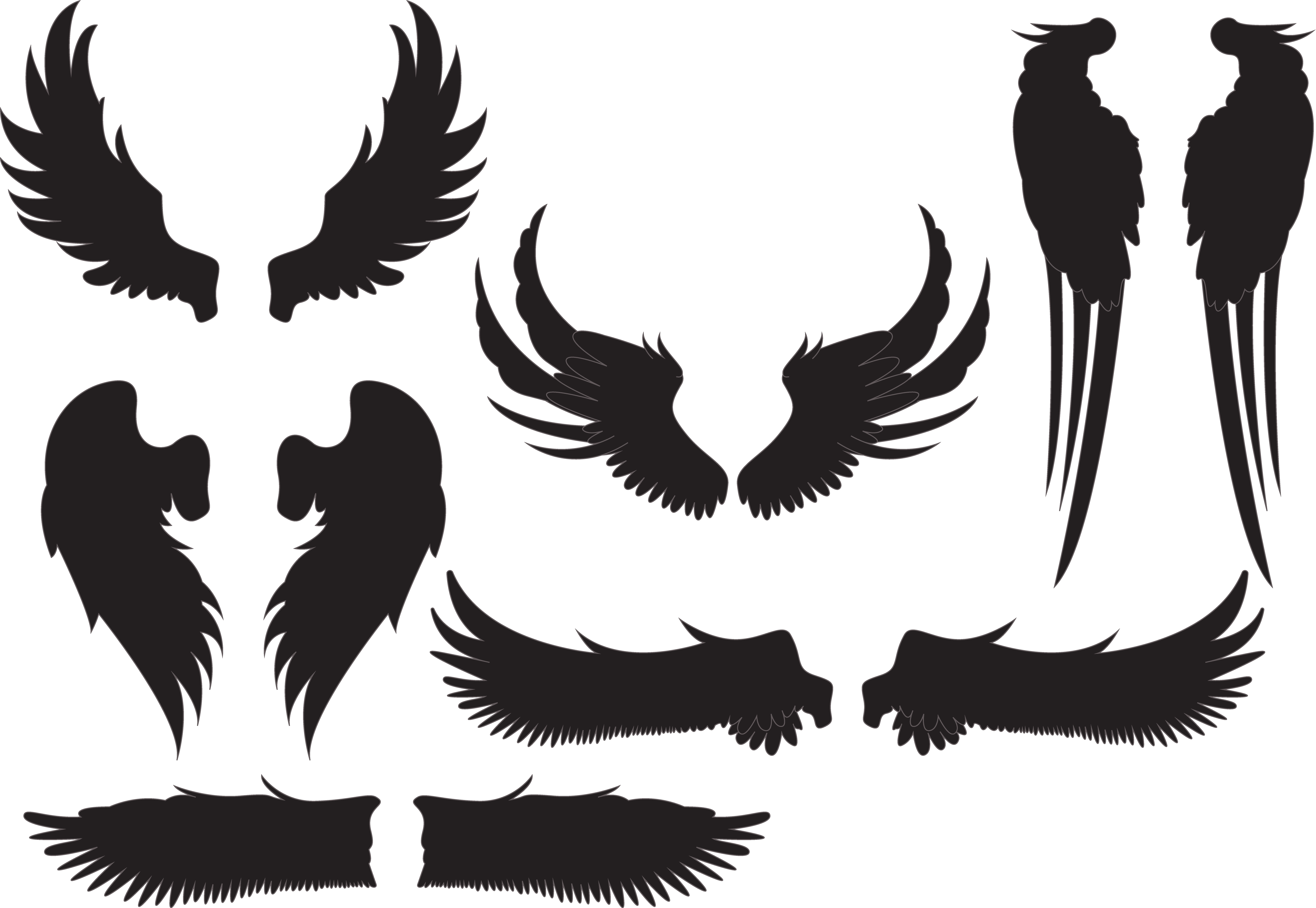 Silhouette Euclidean Vector - Silhouette Angel Wings (5350x3690)