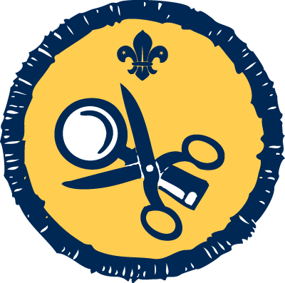 The Scout Association In The Uk - Beaver Badges (400x397)