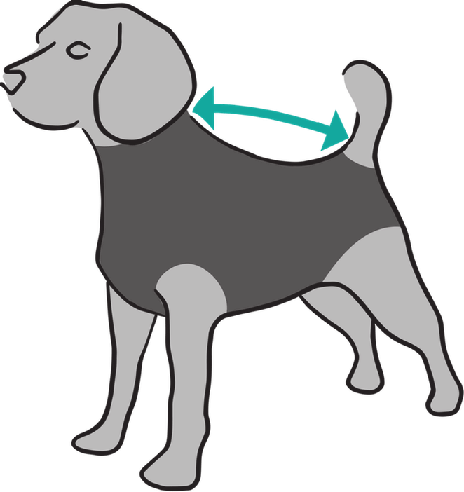 Cats - Recovery Shirt Dog (662x702)