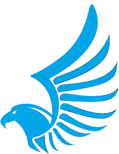 Eagle Wing Insignia - Eagle Wing Insignia (538x604)