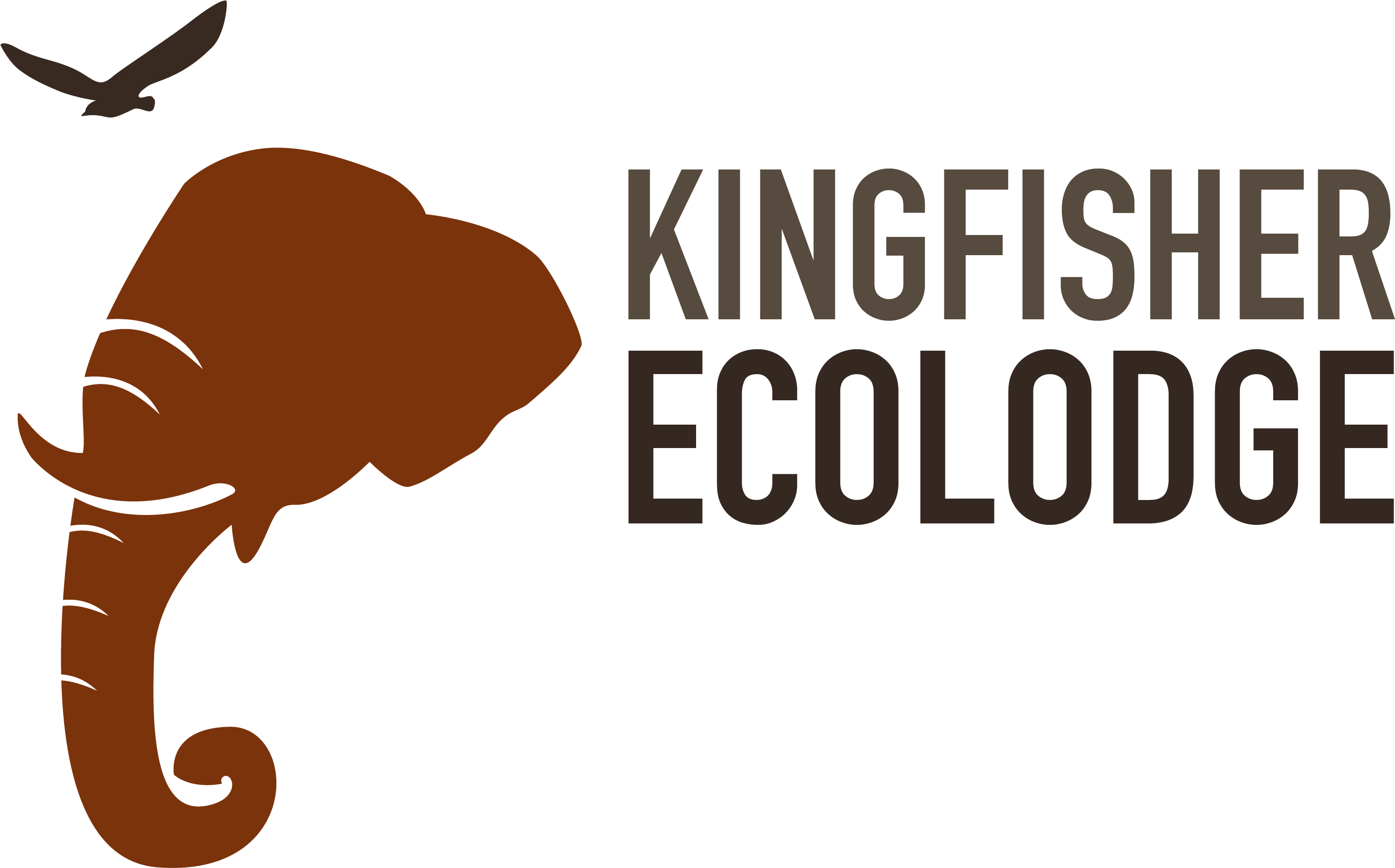 Kingfisher Ecolodge Logo - Kingfisher Ecolodge (3126x2559)