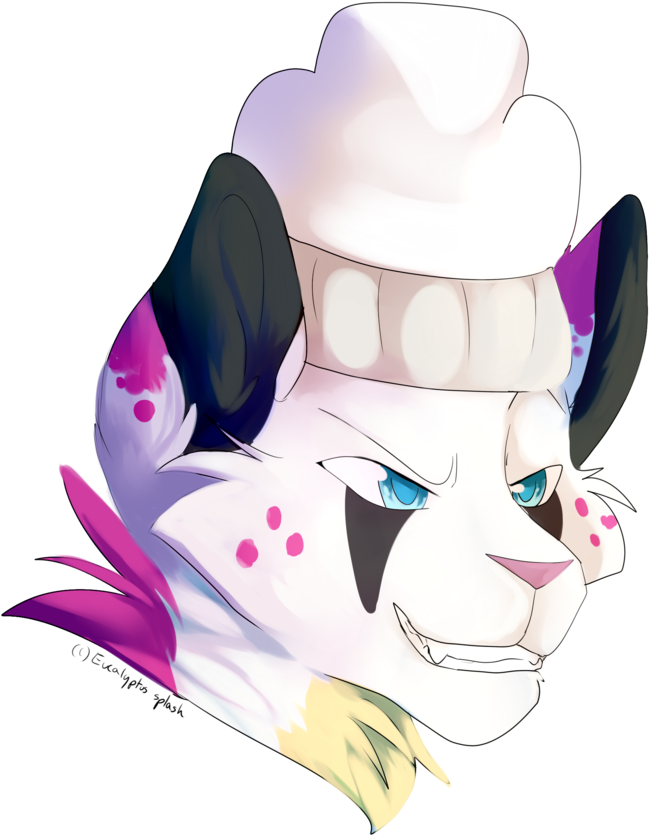 Icing By Eucalyptus-splash - Eucalyptus Splash (920x868)