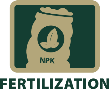 Mac S Tree Service Rh Macstree Services Stump And Axe - Box Blindex (373x365)